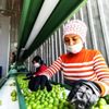 Mersin Büyükşehir, kooperatiflere makine desteğini ... Mersin Büyükşehir, kooperatiflere makine desteğini ...