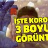 Türk bilim insanları başardı! İşte koronavirüsün 3 boyutlu görüntüsü