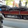 Selin vurduğu Dereli de, jandarma eşliğinde yıkım ... Selin vurduğu Dereli de, jandarma eşliğinde yıkım ...