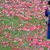 Xavi Barcelona'ya gözyaşlarıyla veda etti Xavi Barcelona'ya gözyaşlarıyla veda etti