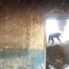 Ezine’de köy okulunda yangın Ezine’de köy okulunda yangın