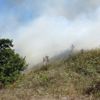 Pendik’te korkutan orman yangını söndürüldü