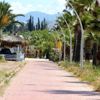 Bodrum sessizliğe büründü Bodrum sessizliğe büründü