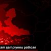 İzmir de zam şampiyonu patlıcan