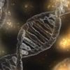 CRISPR ile DNA yerine RNA düzenlenebilecek
