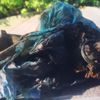 Balıkçıların oltasına 'el bombası' takıldı! Balıkçıların oltasına 'el bombası' takıldı!
