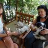Çıtır isimli köpek, yavru kedileri emzirerek annelik ... Çıtır isimli köpek, yavru kedileri emzirerek annelik ...