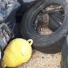 Denizden çıkanlar görenleri şaşırttı! Denizden çıkanlar görenleri şaşırttı!