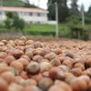 Fiskobirlik 60 kişiyi işe alacak