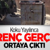 Koku Yayılınca İğrenç Gerçek Ortaya Çıktı