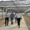 Manisa Büyükşehir Belediyesi üreterek tasarruf sağlayacak