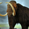 Mamutlar geri mi dönüyor?