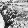 Şahitler Çanakkale'yi anlatıyor Şahitler Çanakkale'yi anlatıyor