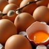 Yumurta satışına yasaklar geliyor Yumurta satışına yasaklar geliyor