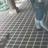 Şile otoyolunda korkunç kaza! Bariyerlere böyle çarptı! Şile otoyolunda korkunç kaza! Bariyerlere böyle çarptı!