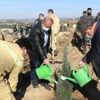 Manisa'da yangın yaraları sarılıyor Manisa'da yangın yaraları sarılıyor