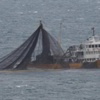 Karadeniz'de Facia: 1 Ölü