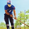 Gürün’den çiftçilere ceviz fidanı desteği