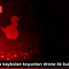 Jandarma kaybolan koyunları drone ile buldu
