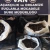 Havalimanında mantar operasyonu Havalimanında mantar operasyonu