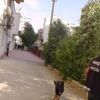 Mardin'de narkotik köpeğiyle uyuşturucu operasyonu