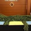 Zehir tacirlerinin yılbaşı hazırlığına polis darbesi Zehir tacirlerinin yılbaşı hazırlığına polis darbesi