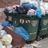 Çöpün yarısı gıdayla dolu