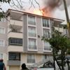 'Büyük felaketler, basit tedbirlerle minimum zararla atlatılabilir' 'Büyük felaketler, basit tedbirlerle minimum zararla atlatılabilir'