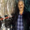 Niğde'de yetiştirilen istiridye mantarına dünyadan talep Niğde'de yetiştirilen istiridye mantarına dünyadan talep