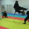Kadın ninjalar nefes kesti Kadın ninjalar nefes kesti
