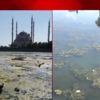 Adana'da içler acısı görüntü! Seyhan Nehri’nde kirlilik Adana'da içler acısı görüntü! Seyhan Nehri’nde kirlilik