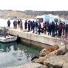  Balık merakı canından etti Balık merakı canından etti