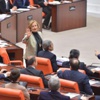TBMM Genel Kurulunda gergin anlar