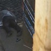 Tahir Elçi'nin otopsi raporu açıklandı Tahir Elçi'nin otopsi raporu açıklandı