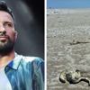 Valilik, Tuz Gölü’ndeki flamingo ölümleriyle ilgili soruşturma başlattı
