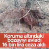 Sertab Erener, telomer tedavisini savundu