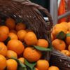 Martta zam şampiyonu mandalina Martta zam şampiyonu mandalina