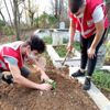 Gönüllü gençler mezarlık temizledi