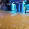 Önlerine ayı çıktı!