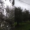 Hırsızlar köyün telefon kablolarını çaldı öğrenciler mağdur oldu Hırsızlar köyün telefon kablolarını çaldı öğrenciler mağdur oldu