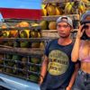 Buse Narcı, Bali'de yol kesti Buse Narcı, Bali'de yol kesti
