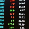Borsa İstanbul'da terör paniği Borsa İstanbul'da terör paniği