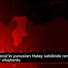 Doğu Akdeniz in yunusları Hatay sahilinde renkli görüntüler ... Doğu Akdeniz in yunusları Hatay sahilinde renkli görüntüler ...