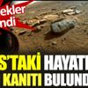 ﻿Mars'taki hayatın kesin kanıtı bulundu