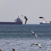 Marmara ulaşımına poyraz darbesi Marmara ulaşımına poyraz darbesi