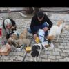 Sokak köpeklerini evinde besleyen hayvansevere mama desteği Sokak köpeklerini evinde besleyen hayvansevere mama desteği