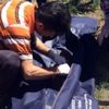 Bir haftalık kızını öldürüp, araziye gömdü Bir haftalık kızını öldürüp, araziye gömdü