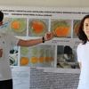 Lise öğrencilerinin projesi sosyal bilgiler kitabına girdi