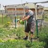 Hobi bahçelerindeki yapılar yıkılacak Hobi bahçelerindeki yapılar yıkılacak