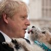 Boris Johnson’un köpeği de onunla birlikte koronavirüse yakalanmış